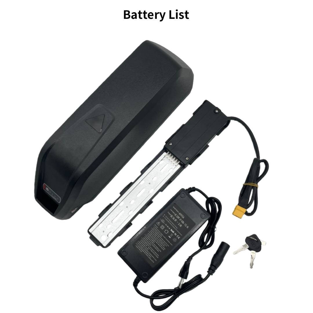 ENGWE Batteria al Litio 48V 30Ah per E-Bike BMS 30A Compatibile 500W-1500W