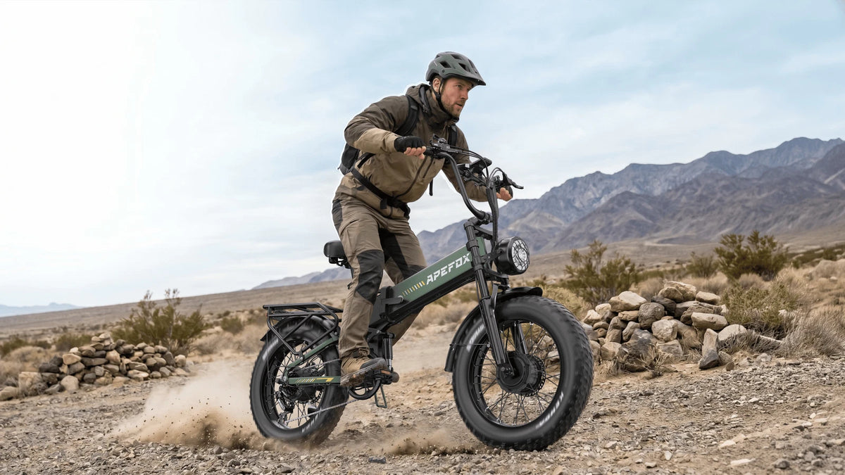E-bike pieghevole doppio motore 250W 48V 1080Wh autonomia 100km ruote fat