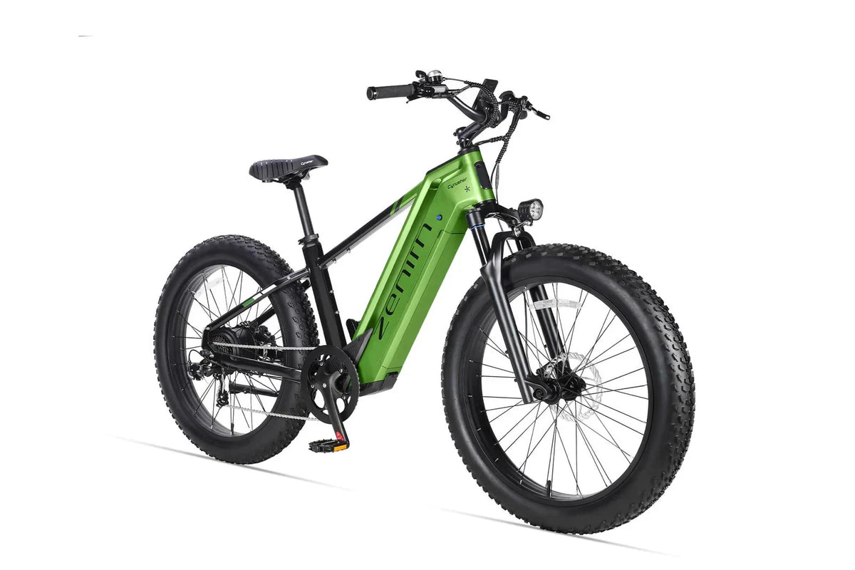 Bici elettrica da montagna E‑MTB 26" 250W 52V 20Ah tutti i terreni
