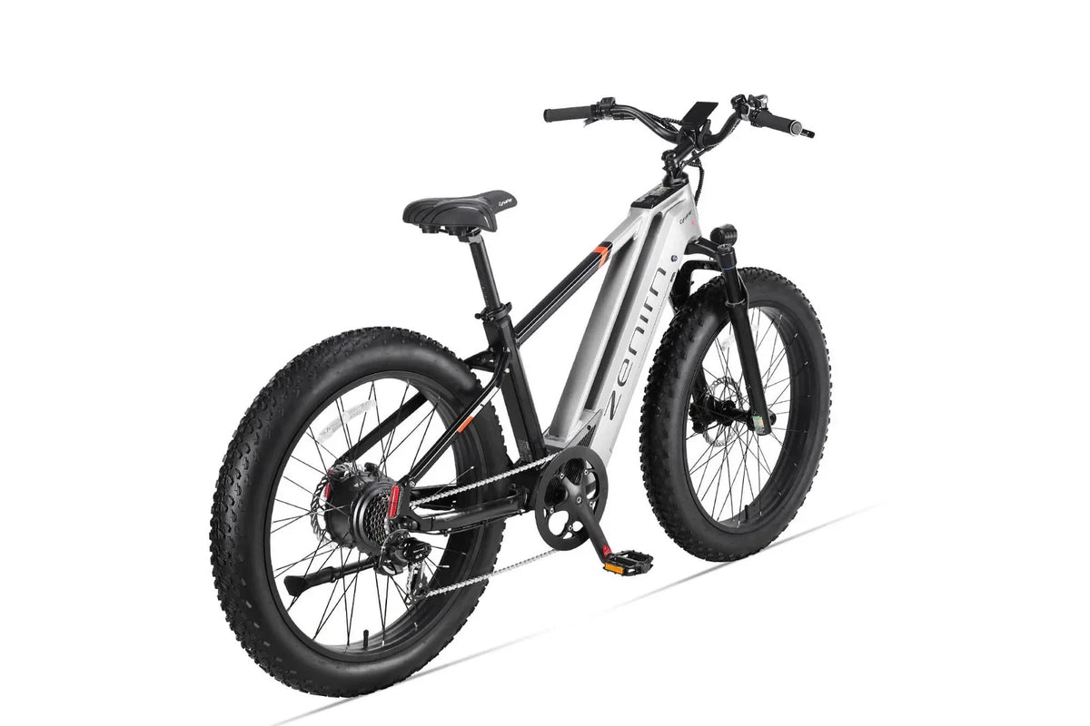 Bici elettrica da montagna E‑MTB 26" 250W 52V 20Ah tutti i terreni