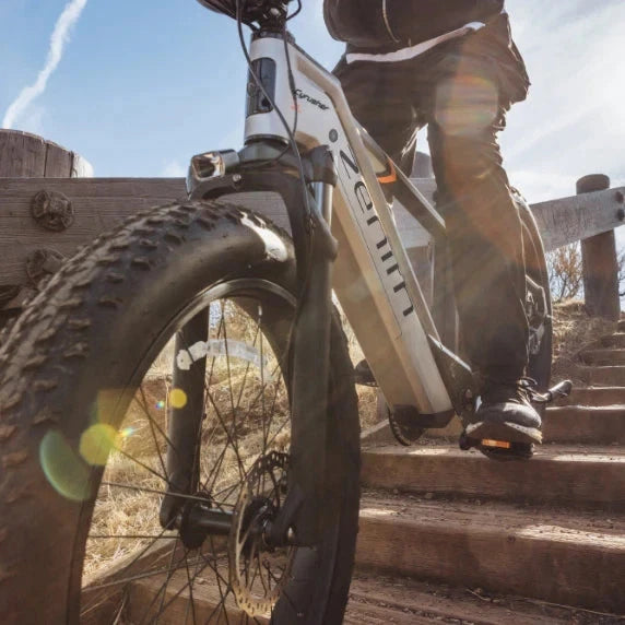 Bici elettrica da montagna E‑MTB 26" 250W 52V 20Ah tutti i terreni