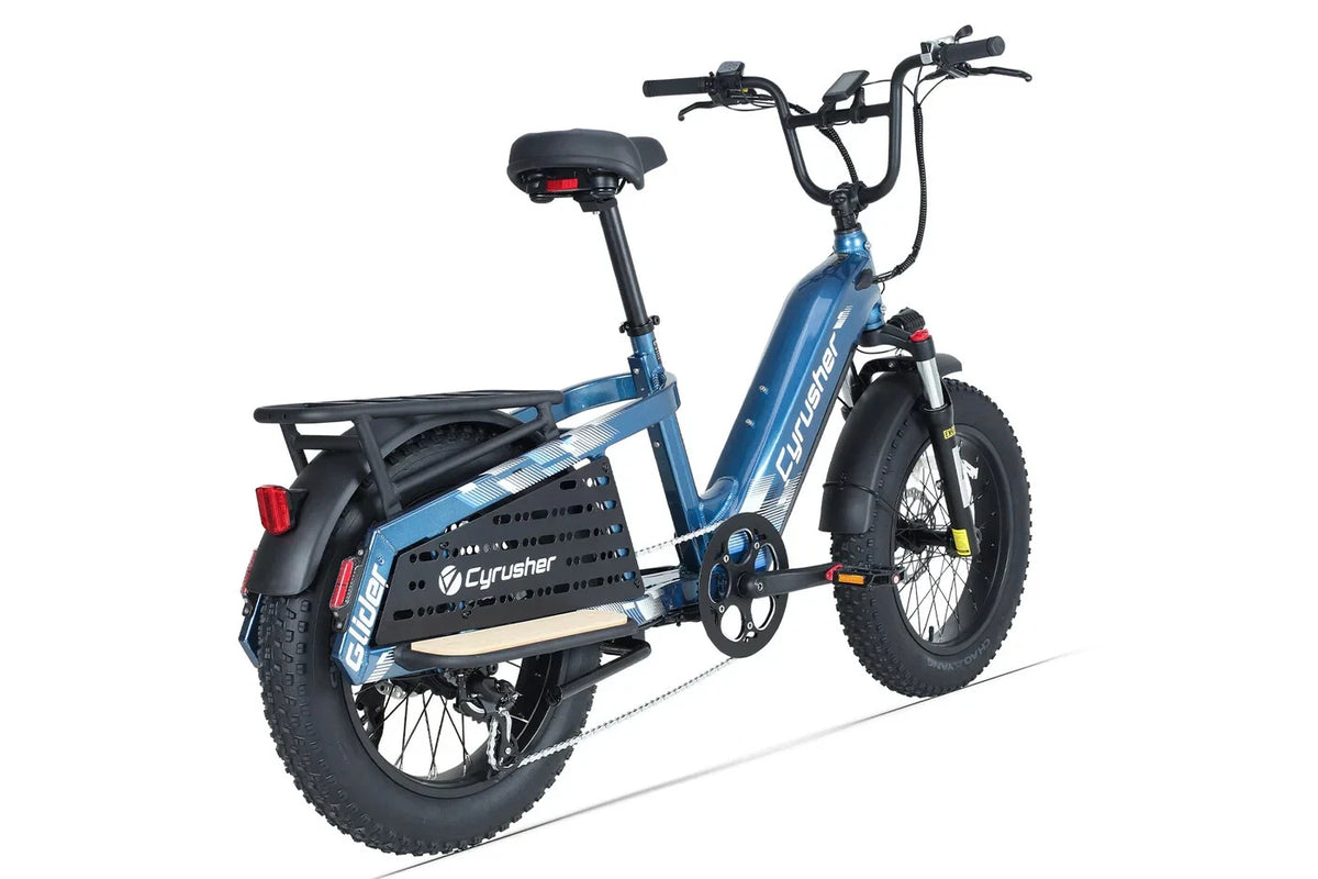 Bici Elettrica Da Carico 250W 15,6Ah Autonomia 100 km Bici Per Tutti I Terreni
