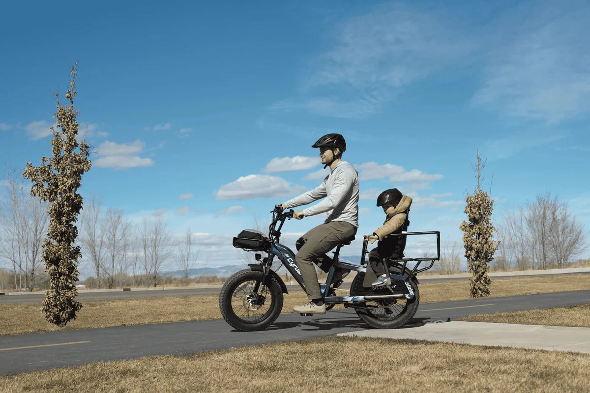 Bici Elettrica Da Carico 250W 15,6Ah Autonomia 100 km Bici Per Tutti I Terreni