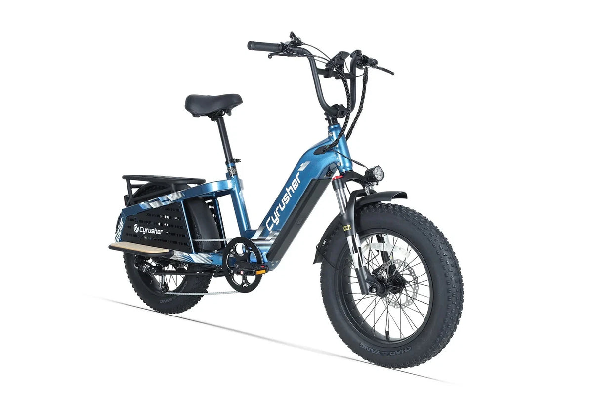 Bici Elettrica Da Carico 250W 15,6Ah Autonomia 100 km Bici Per Tutti I Terreni