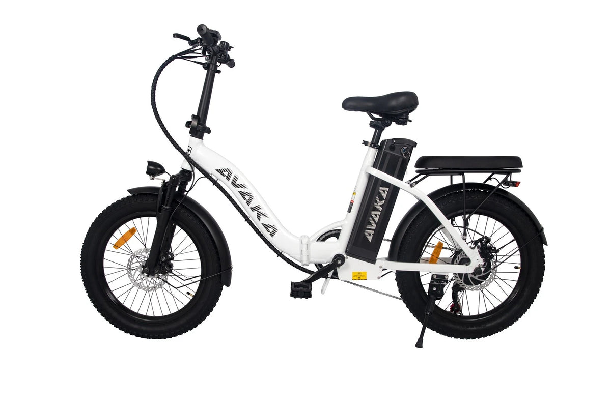 Bici elettrica pieghevole adulti 48V 873.6Wh 20" ruote grasse autonomia 100km