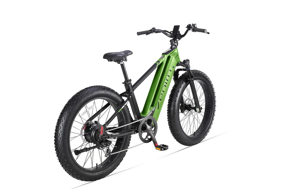 Bici elettrica da montagna E‑MTB 26" 250W 52V 20Ah tutti i terreni