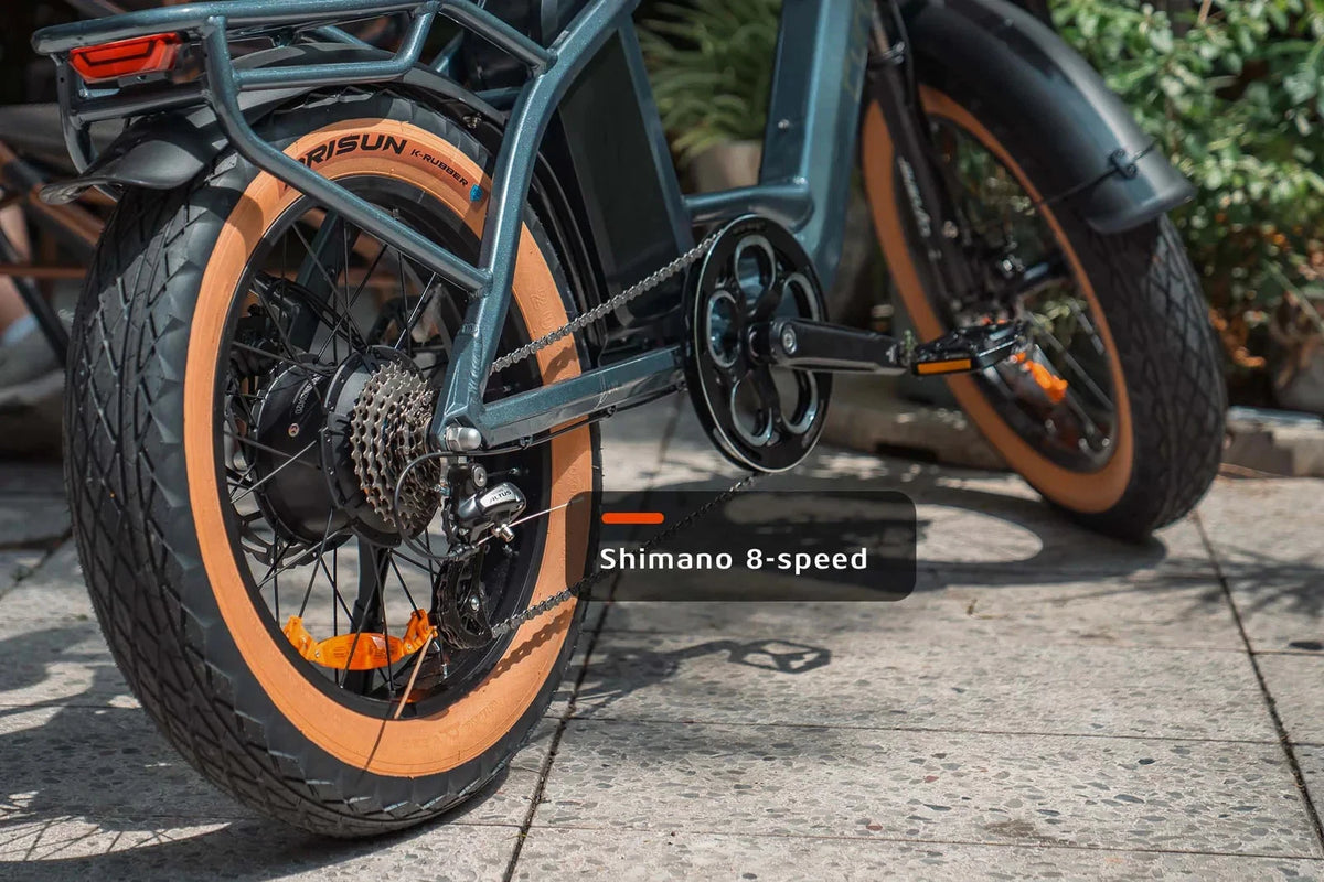 Bici Elettrica 48V 18Ah Luxe Telaio Passante Ruote Grasse 20" Per Città