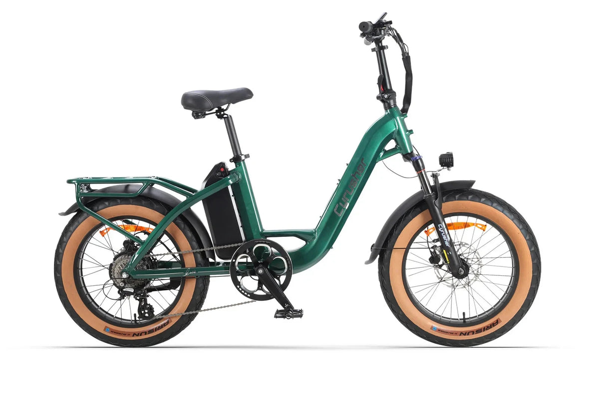 Bici Elettrica 48V 18Ah Luxe Telaio Passante Ruote Grasse 20" Per Città