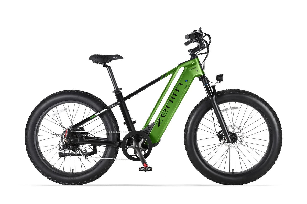 Bici elettrica da montagna E‑MTB 26" 250W 52V 20Ah tutti i terreni