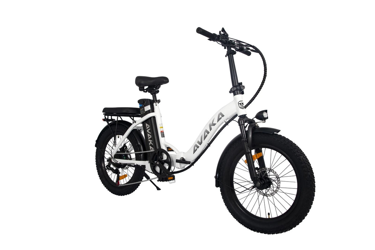 Bici elettrica pieghevole adulti 48V 873.6Wh 20" ruote grasse autonomia 100km