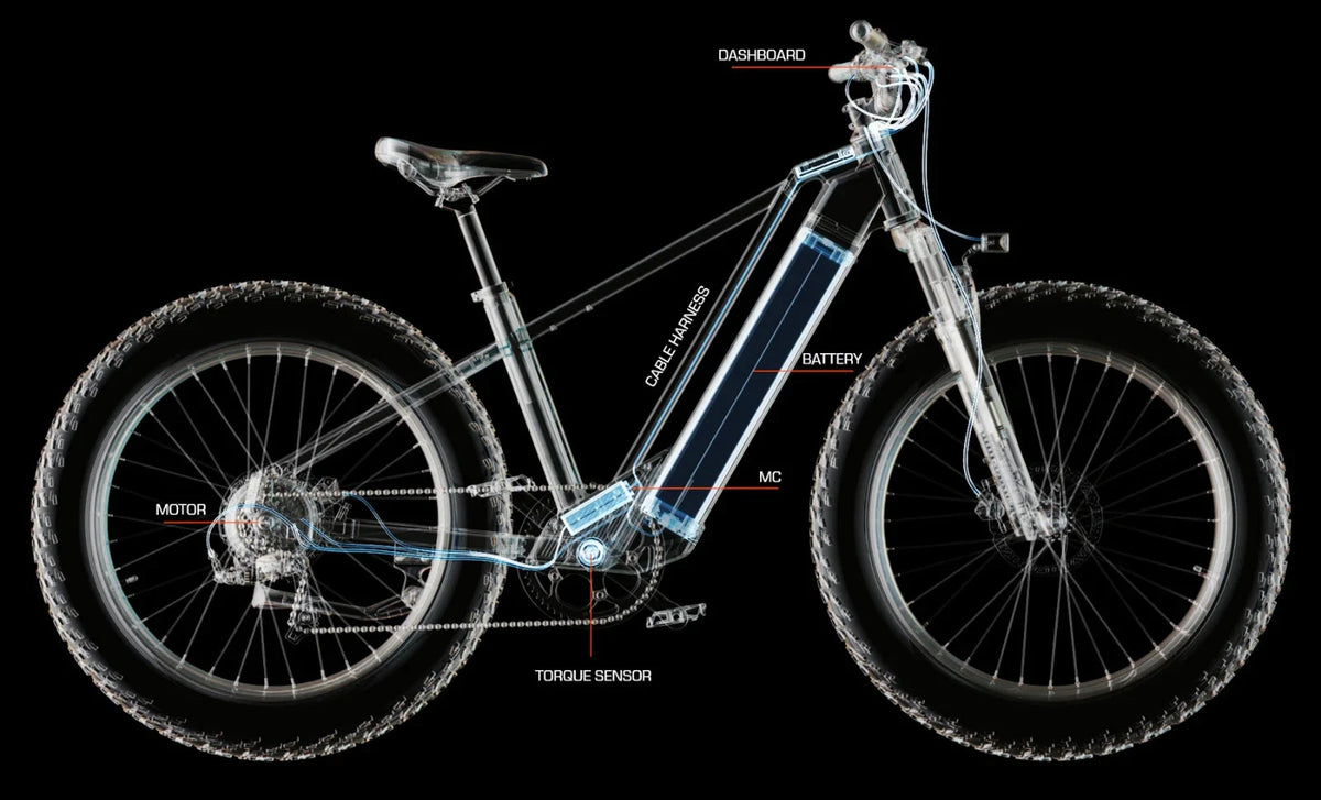 Bici elettrica da montagna E‑MTB 26" 250W 52V 20Ah tutti i terreni