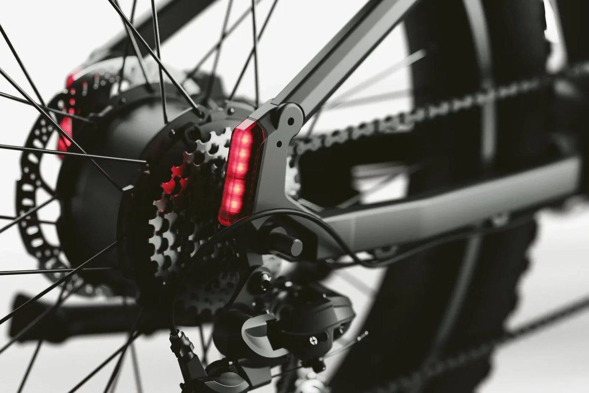 Bici elettrica da montagna E‑MTB 26" 250W 52V 20Ah tutti i terreni