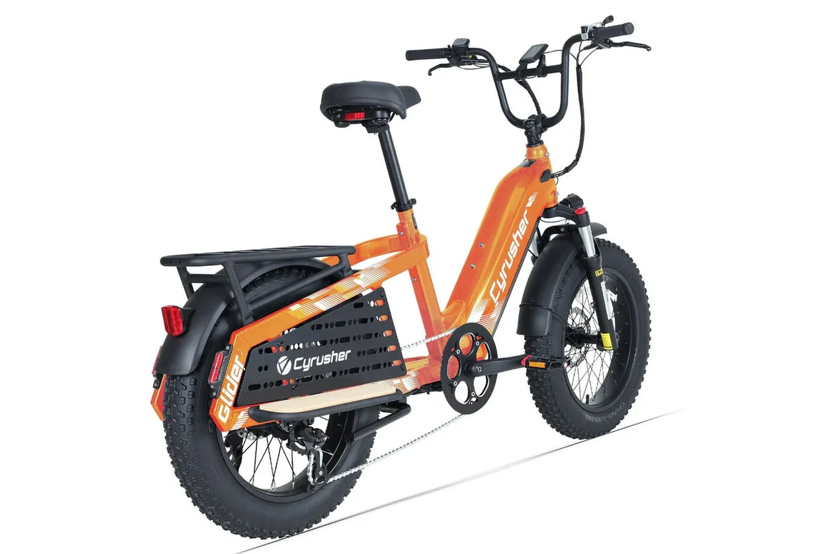 Bici Elettrica Da Carico 250W 15,6Ah Autonomia 100 km Bici Per Tutti I Terreni