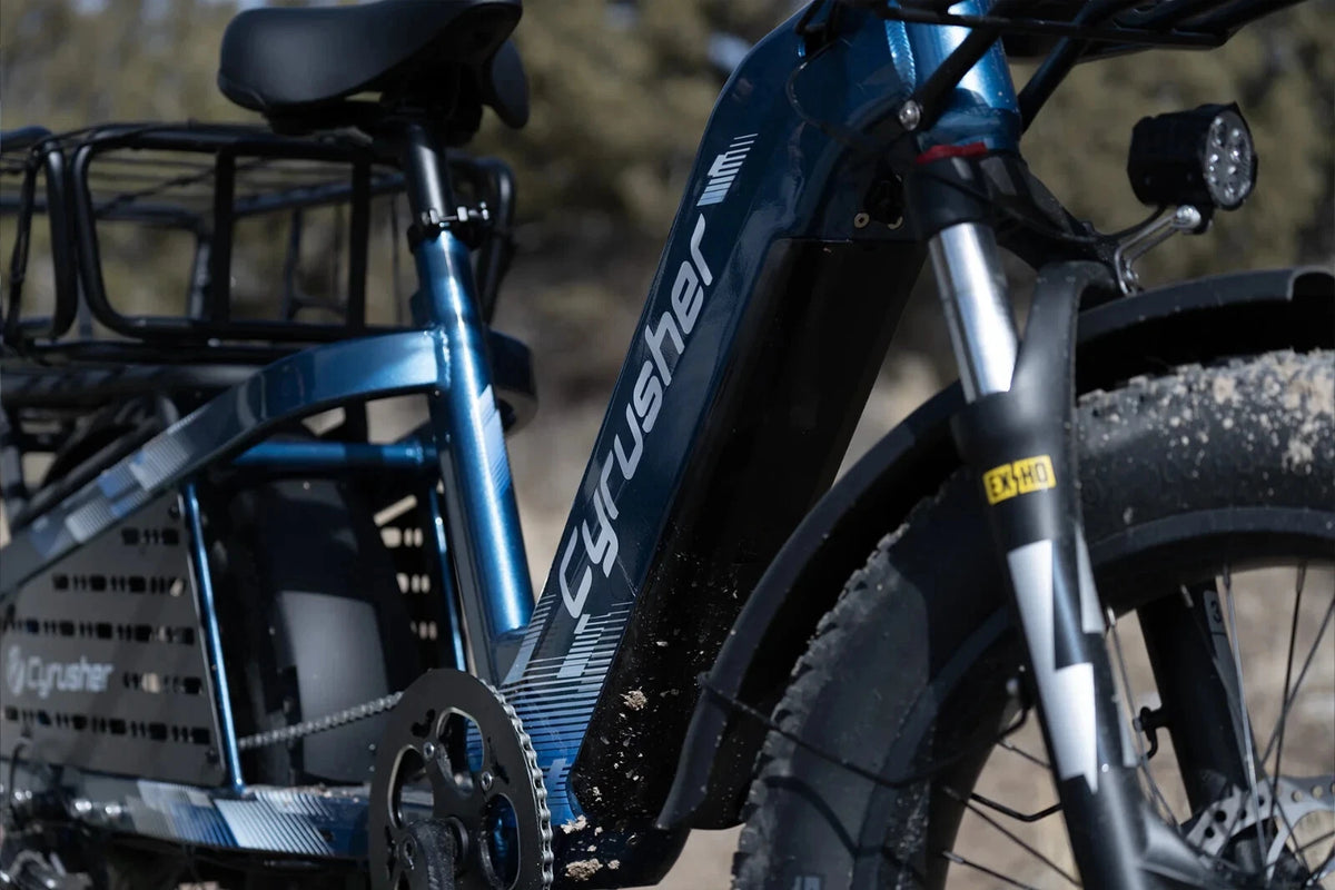 Bici Elettrica Da Carico 250W 15,6Ah Autonomia 100 km Bici Per Tutti I Terreni