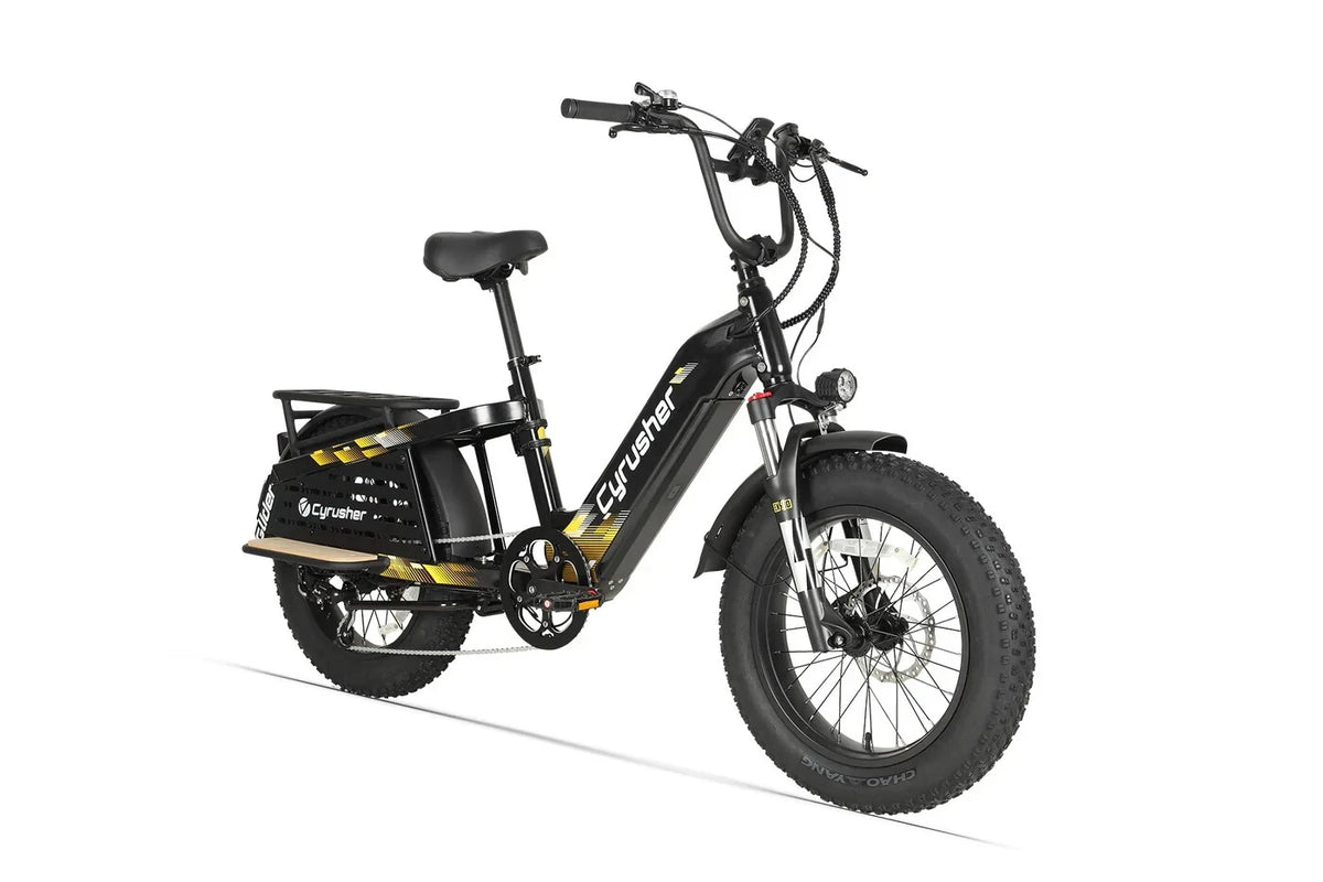 Bici Elettrica Da Carico 250W 15,6Ah Autonomia 100 km Bici Per Tutti I Terreni