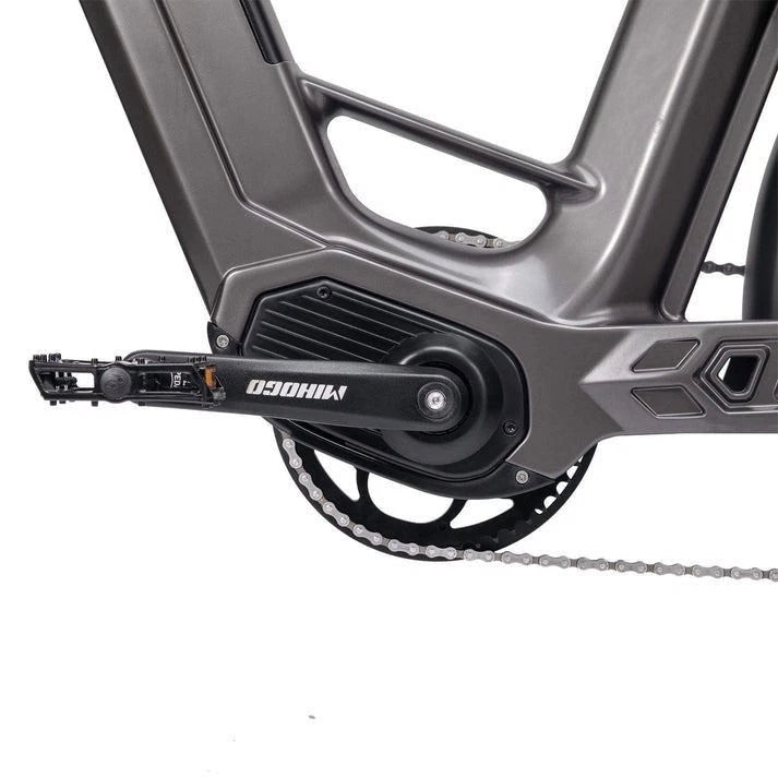 Bici Elettrica Doppia Batteria Motore 250W Autonomia 206km Navigazione Bluetooth