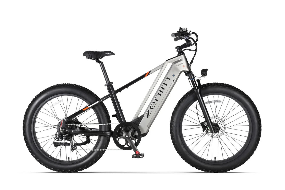 Bici elettrica da montagna E‑MTB 26" 250W 52V 20Ah tutti i terreni
