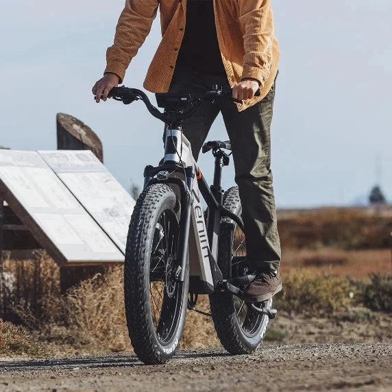 Bici elettrica da montagna E‑MTB 26" 250W 52V 20Ah tutti i terreni