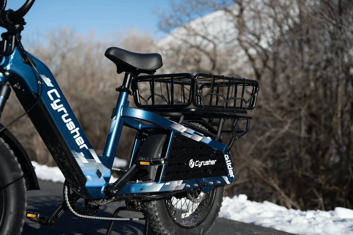 Bici Elettrica Da Carico 250W 15,6Ah Autonomia 100 km Bici Per Tutti I Terreni