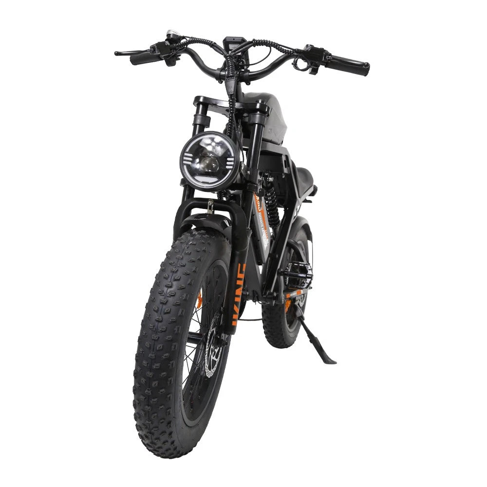 Bicicletta Elettrica 48v Batteria 960wh Motore 1000w Pneumatico Grosso 20"