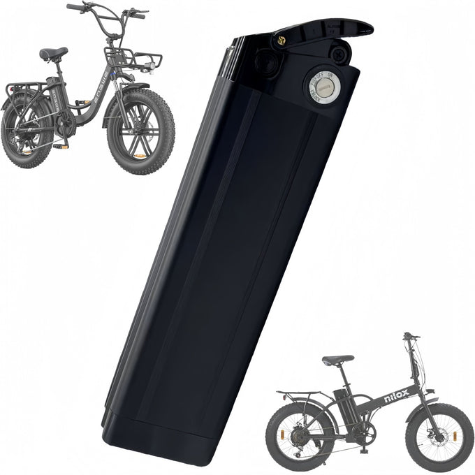 Batteria Litio 48v 20ah Poisson Argenté Per Bici Elettrica 750w Alta Durabilità