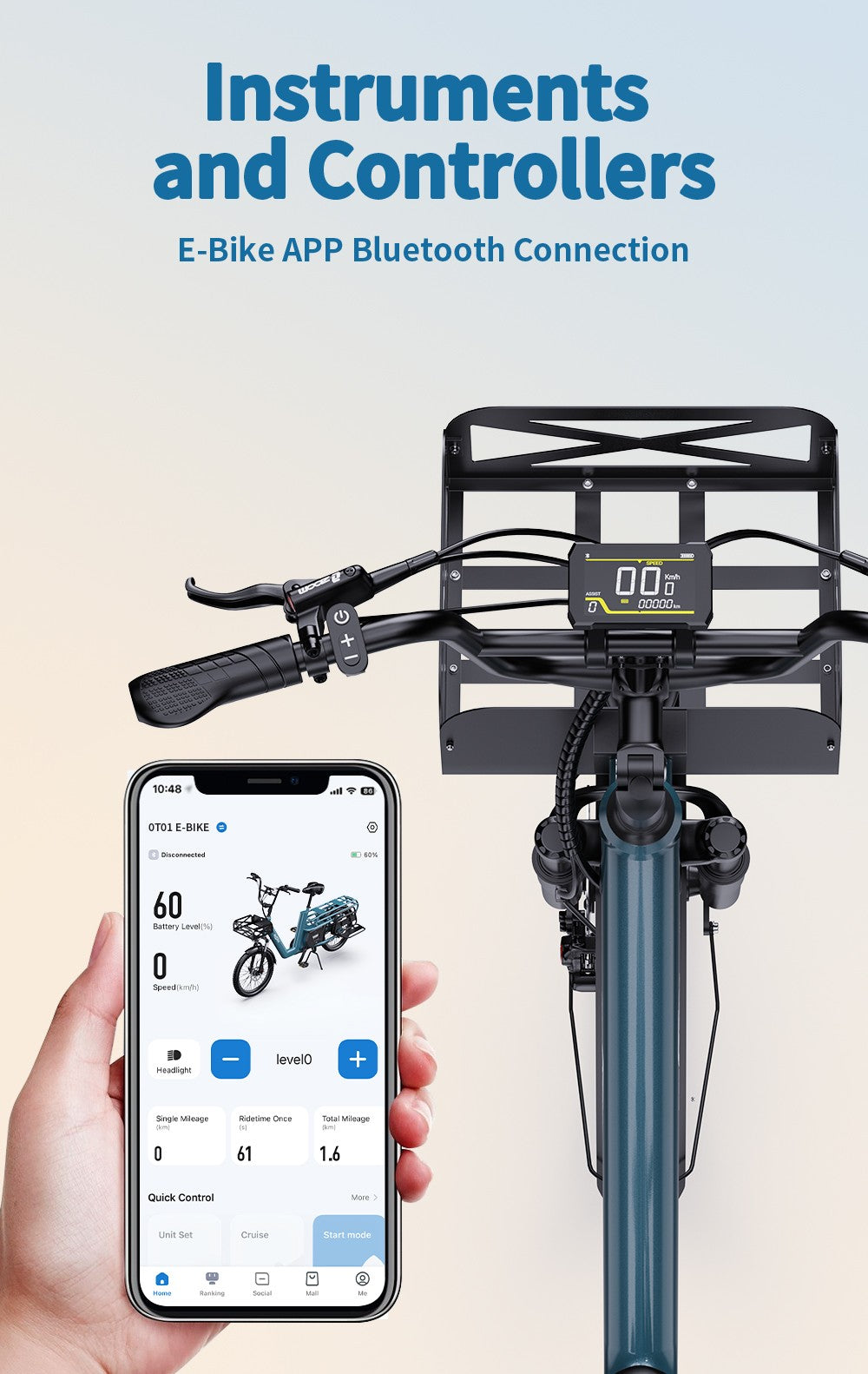 Bici elettrica cargo Fat Bike 20" 250W 25km/h 7 marce batteria estraibile 100km