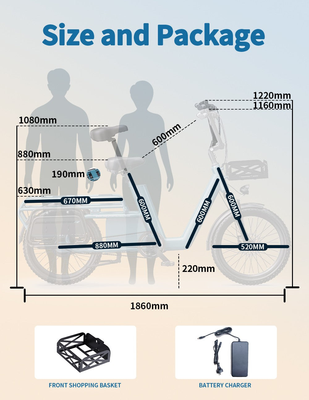 Bici elettrica cargo Fat Bike 20" 250W 25km/h 7 marce batteria estraibile 100km
