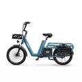 Bici elettrica cargo Fat Bike 20" 250W 25km/h 7 marce batteria estraibile 100km