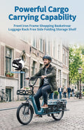 Bici elettrica cargo Fat Bike 20" 250W 25km/h 7 marce batteria estraibile 100km
