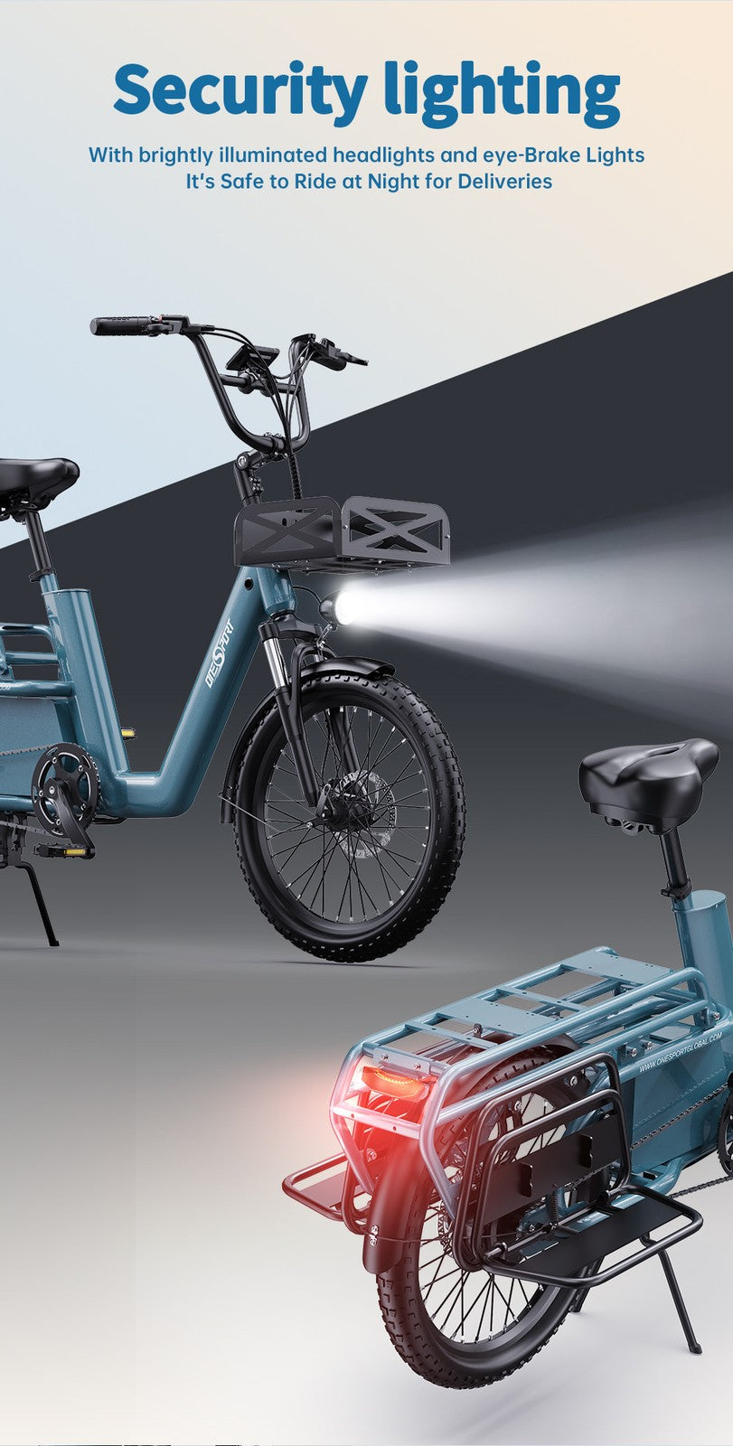 Bici elettrica cargo Fat Bike 20" 250W 25km/h 7 marce batteria estraibile 100km