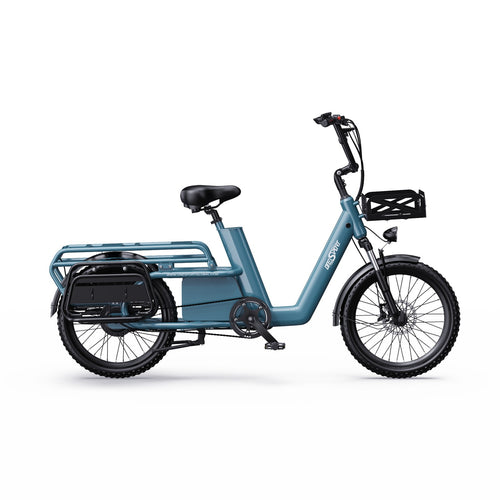 Bici elettrica cargo Fat Bike 20" 250W 25km/h 7 marce batteria estraibile 100km