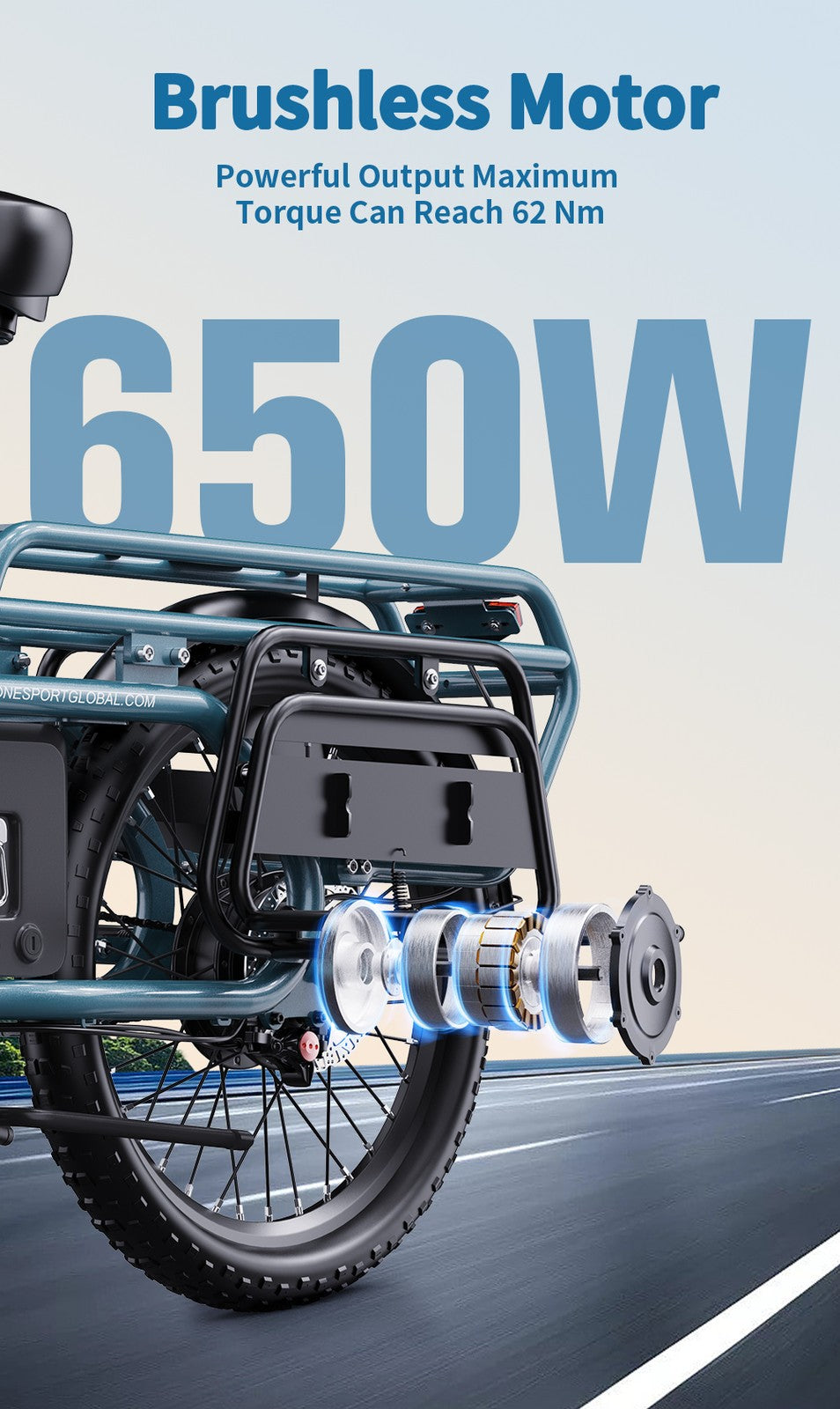 Bici elettrica cargo Fat Bike 20" 250W 25km/h 7 marce batteria estraibile 100km