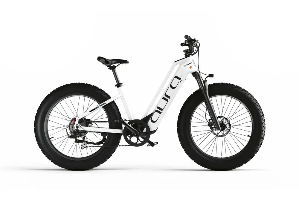 Bici Elettrica Da Fuoristrada 26" Ruote Grasse Bici Da Montagna 52V 15Ah