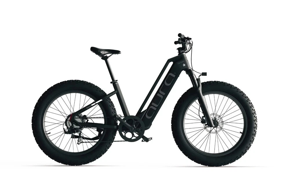 Bici Elettrica Da Fuoristrada 26" Ruote Grasse Bici Da Montagna 52V 15Ah