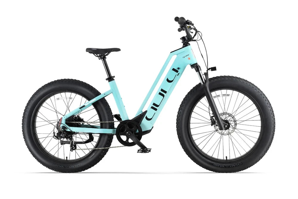 Cyrusher Aura Electric Mountain Bike All-Terrain 26Inch 750W 52V15Ah E-Bike MTB