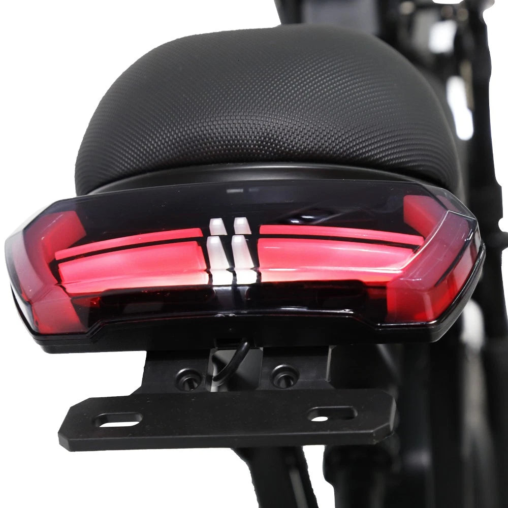 Bicicletta Elettrica 48v Batteria 960wh Motore 1000w Pneumatico Grosso 20"
