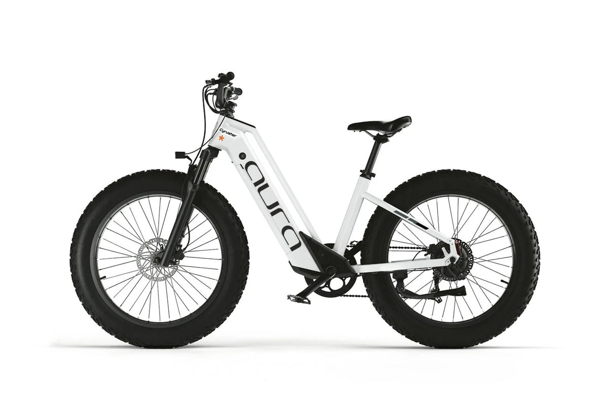 Bici Elettrica Da Fuoristrada 26" Ruote Grasse Bici Da Montagna 52V 15Ah