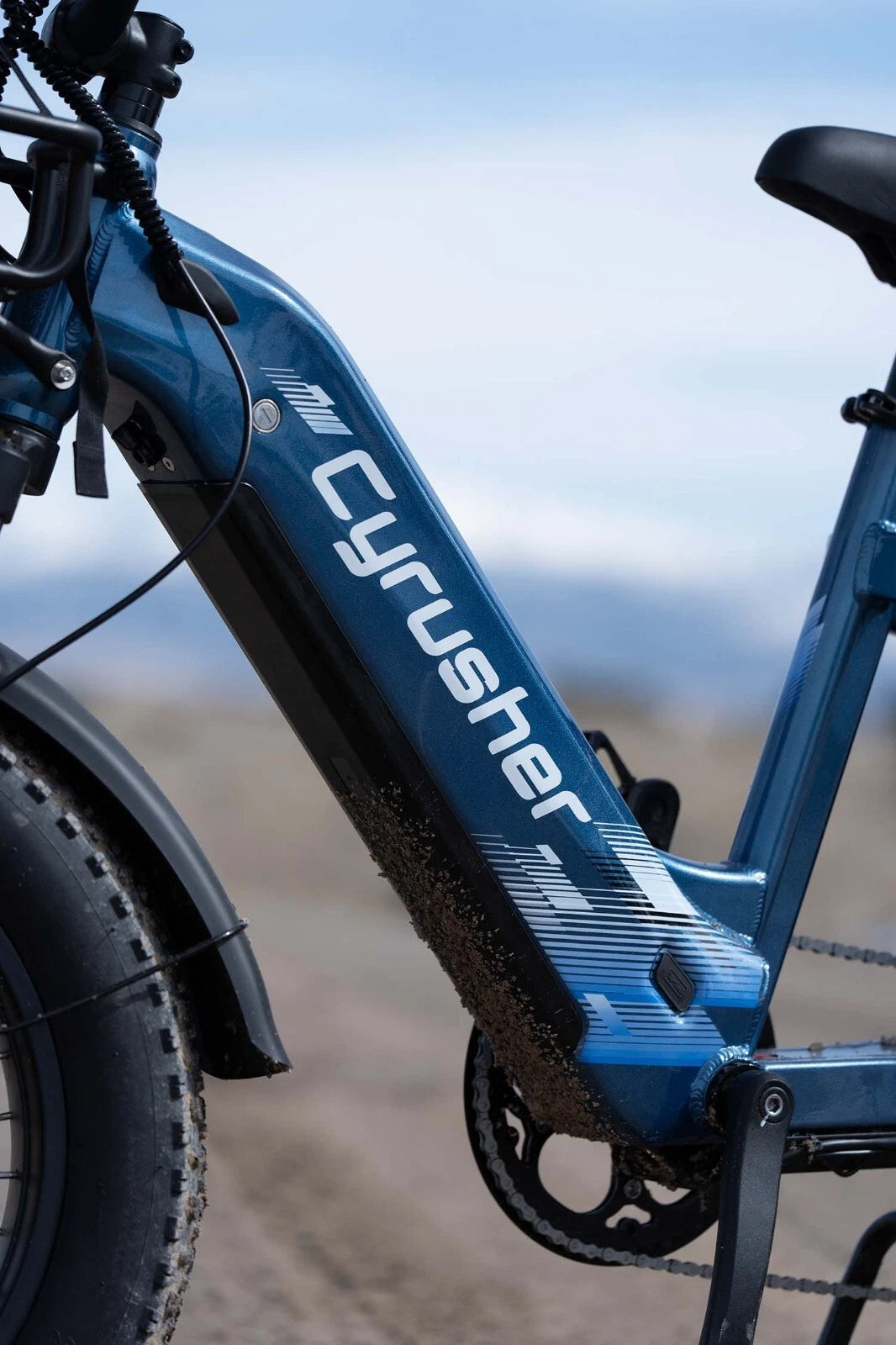 Bici Elettrica Da Carico 250W 15,6Ah Autonomia 100 km Bici Per Tutti I Terreni