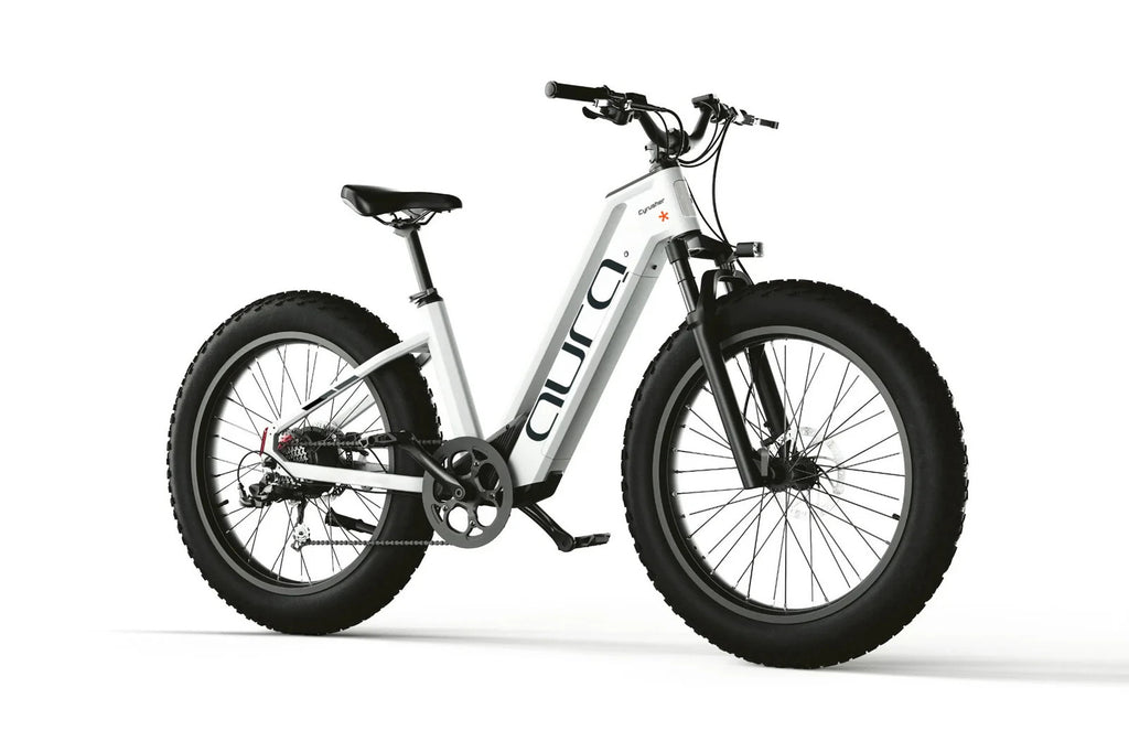 Bici Elettrica Da Fuoristrada 26" Ruote Grasse Bici Da Montagna 52V 15Ah