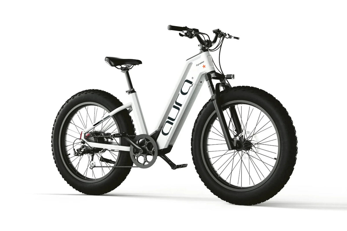 Bici Elettrica Da Fuoristrada 26" Ruote Grasse Bici Da Montagna 52V 15Ah