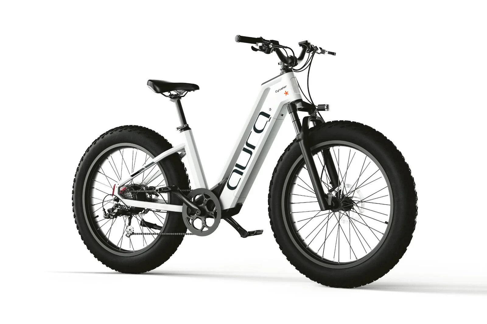 Bici Elettrica Da Fuoristrada 26" Ruote Grasse Bici Da Montagna 52V 15Ah