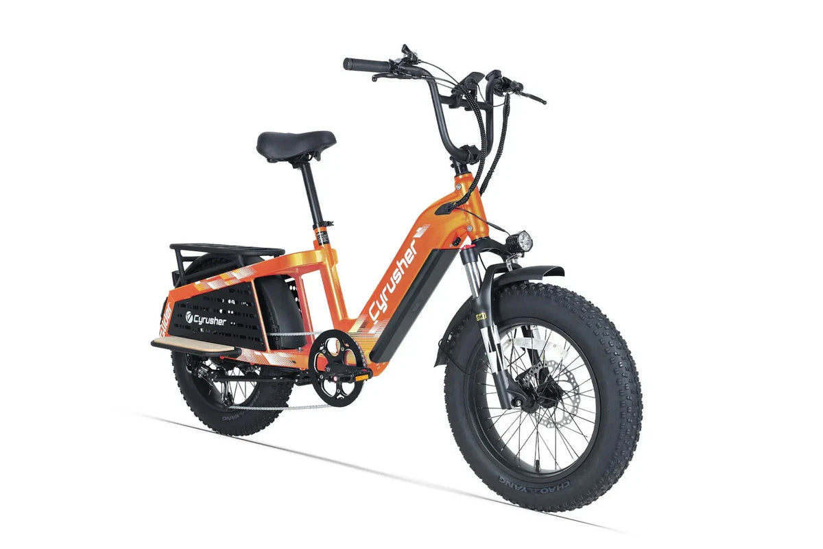 Bici Elettrica Da Carico 250W 15,6Ah Autonomia 100 km Bici Per Tutti I Terreni