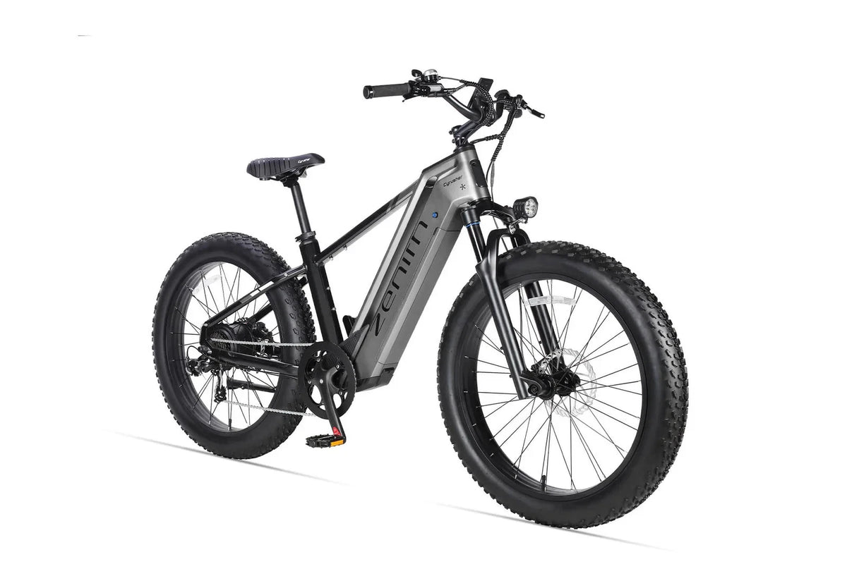 Bici elettrica da montagna E‑MTB 26" 250W 52V 20Ah tutti i terreni