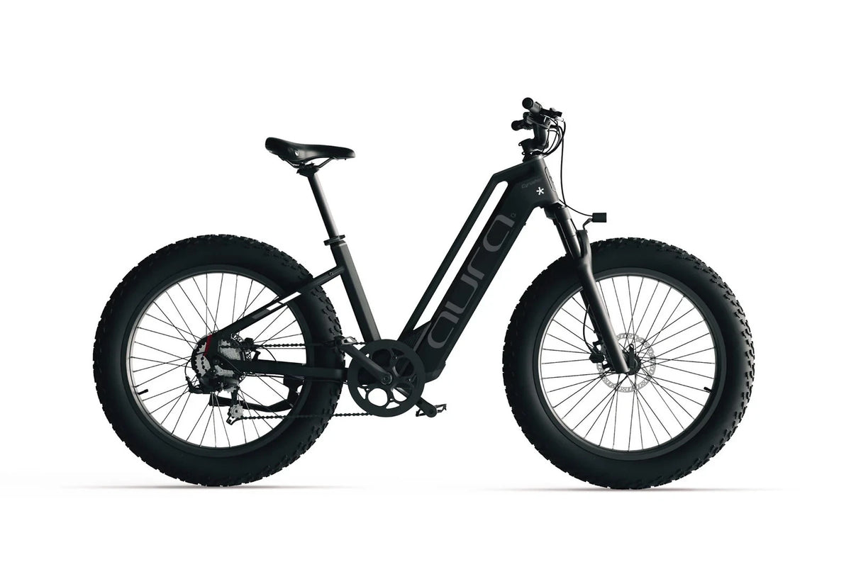 Cyrusher Aura Electric Mountain Bike All-Terrain 26Inch 750W 52V15Ah E-Bike MTB