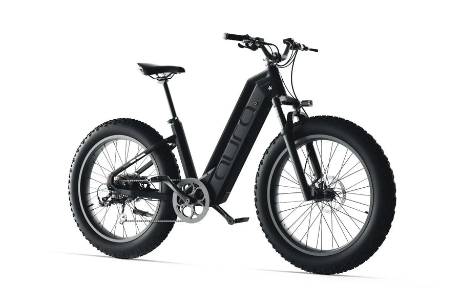 Bici Elettrica Da Fuoristrada 26" Ruote Grasse Bici Da Montagna 52V 15Ah