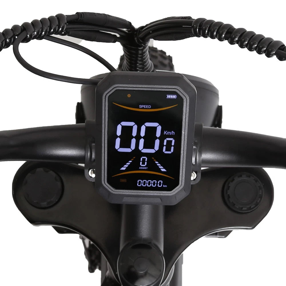 Bicicletta Elettrica 48v Batteria 960wh Motore 1000w Pneumatico Grosso 20"