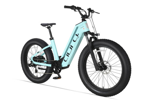 Bici Elettrica Da Fuoristrada 26" Ruote Grasse Bici Da Montagna 52V 15Ah