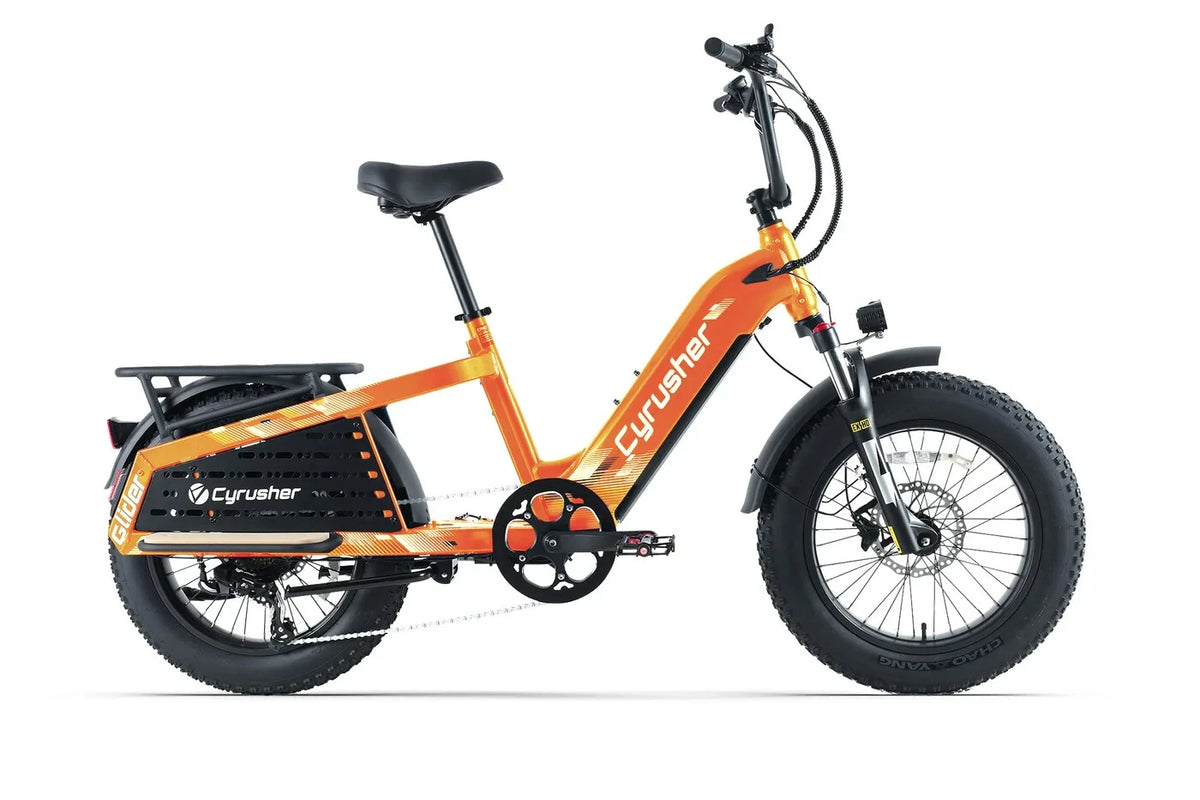 Bici Elettrica Da Carico 250W 15,6Ah Autonomia 100 km Bici Per Tutti I Terreni