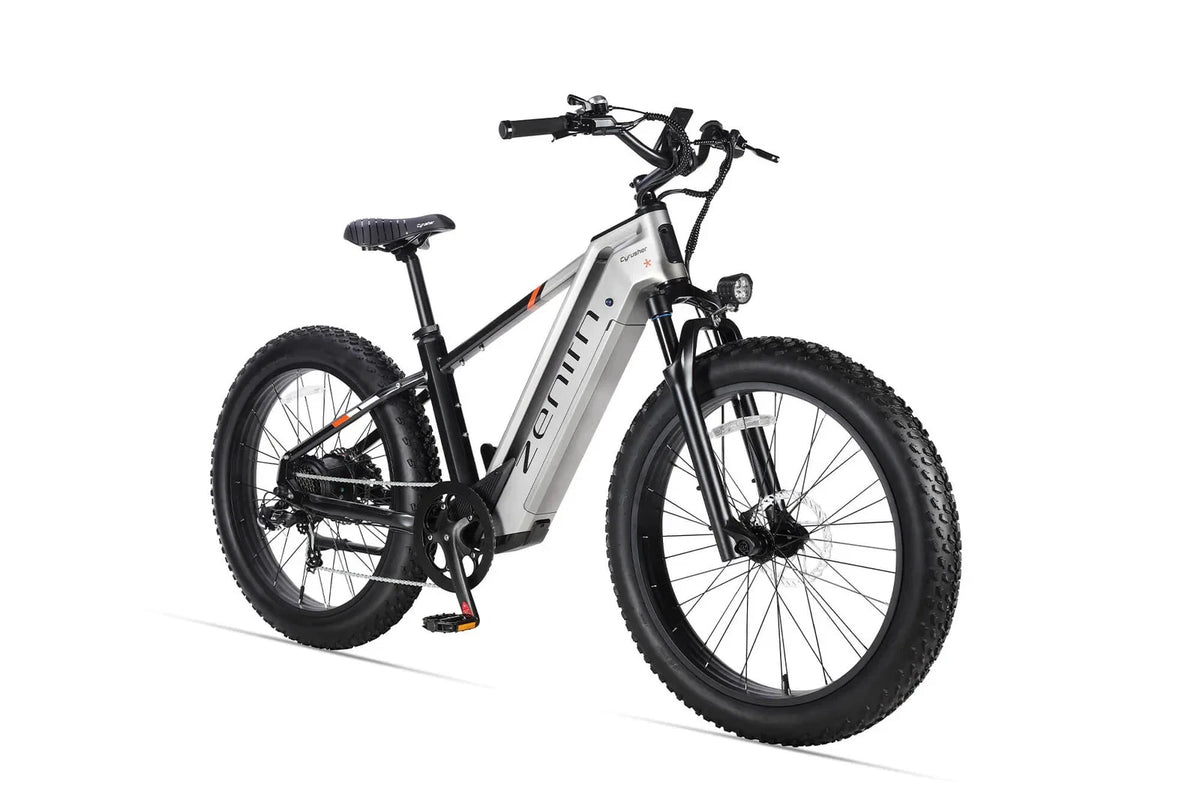 Bici elettrica da montagna E‑MTB 26" 250W 52V 20Ah tutti i terreni