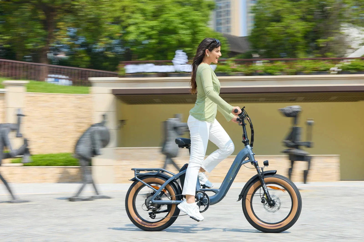 Bici Elettrica 48V 18Ah Luxe Telaio Passante Ruote Grasse 20" Per Città
